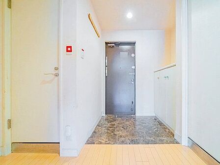 住まいの顔となる玄関は、落ち着きと華やぎの満ちた空間に。