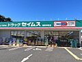 ドラッグセイム...