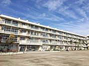 朝霞市立朝霞第六小学校 徒歩3分。 180m
