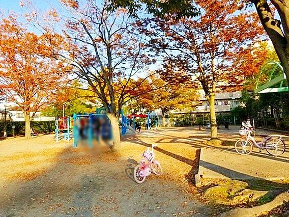 小谷場公園 徒...