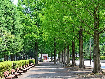朝霞中央公園 徒歩8分。 570m