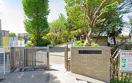 朝霞市立朝霞第八小学校 徒歩2分。 160m