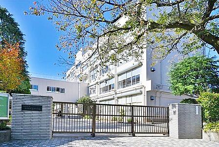 練馬区立石神井南中学校 徒歩6分。 440m