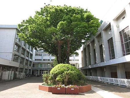練馬区立関中学校 徒歩6分。 470m