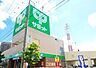 周辺：サミットストア鳩ヶ谷駅前店 徒歩13分。 990m
