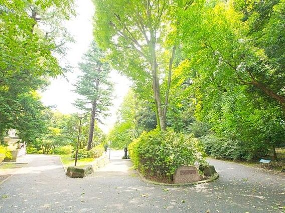 江古田の森公園...
