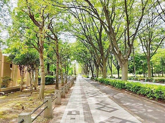 朝霞中央公園 ...