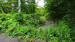 西伯郡伯耆町小林　別荘地内　売土地　700万円