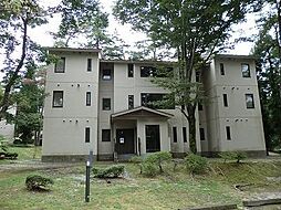 西伯郡大山町鈑戸 セジュール大山（リゾートマンション） 39