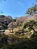 周辺：東京都庭園美術館日本庭園