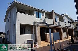 グラシオッソＮ 202