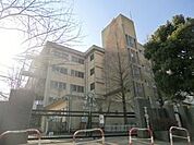 松戸市立河原塚小学校 220m