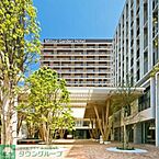 千葉県柏市若柴178-4：物件画像／株式会社タウンハウジング千葉　新鎌ヶ谷店