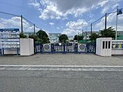 川口市立南中学校 徒歩11分。 870m