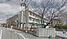 周辺：【小学校】堺市立 三国丘小学校まで345ｍ