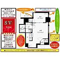 CASAL/S/Vタワー6階6.3万円