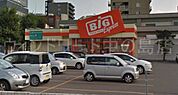 ザ・ビッグエクスプレス平岸店 498m