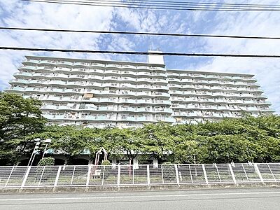 外観:緑豊かな並木道に寄り添い、地域に馴染んだ穏やかな佇まいが日々の暮らしに安心感を与えてくれます。 外観:緑豊かな並木道に寄り添い、地域に馴染んだ穏やかな佇まいが日々の暮らしに安心感を与えてくれます。
