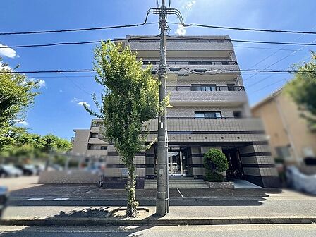 周囲の緑と調和しながら、落ち着いた佇まいを見せる重厚感のある外観です。
