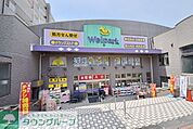 ウェルパーク狛江松原店 徒歩16分。ドラックストア 1210m