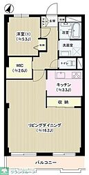コーボック国領 1LDKの間取図画像