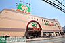 周辺：ライフ経堂店 徒歩7分。スーパー 510m