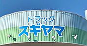 ドラッグスギヤマ 岡崎中町店（984m）