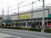 いなげや江戸川春江店 562m
