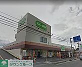 コープ浦和東店 徒歩4分。徒歩8分。スーパー 290m