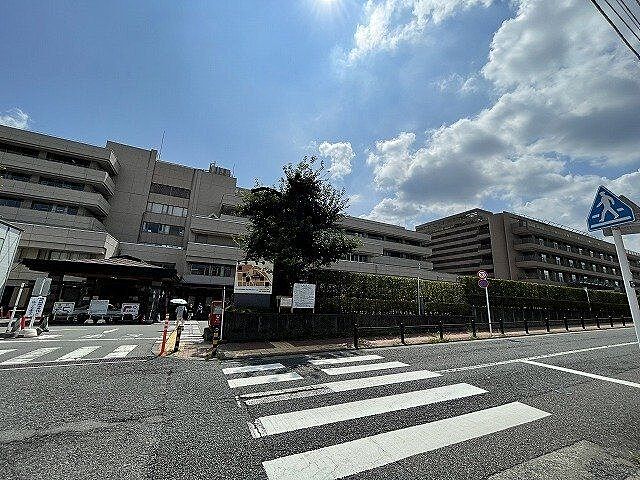 周辺 河辺ビューパレー多摩川 9階/-