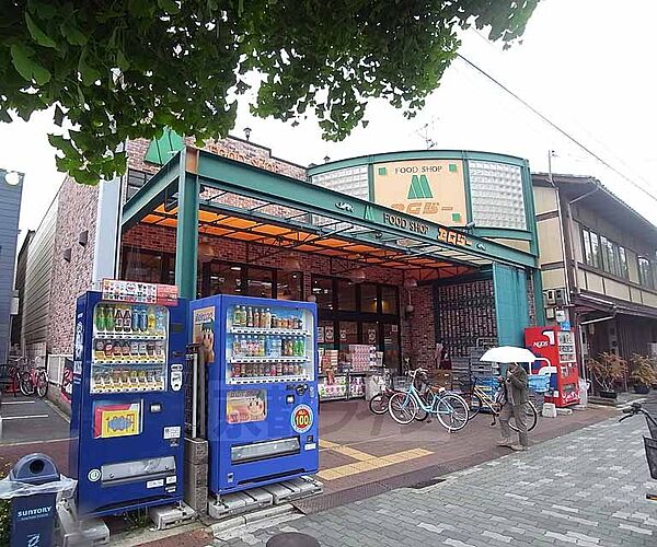 周辺：エムジー 上堀川店まで322m 新鮮な食材を揃えたいならここ。