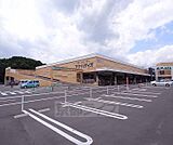 アヤハディオ 城陽店まで1600m