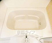 3点セパレート