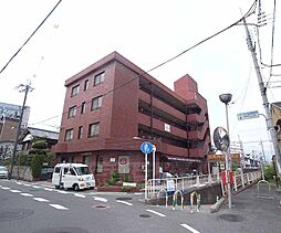 4 / 19
