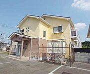 黄色が特徴的・