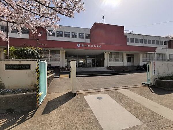 画像20:【小学校】藤井寺市立藤井寺北小学校まで428ｍ