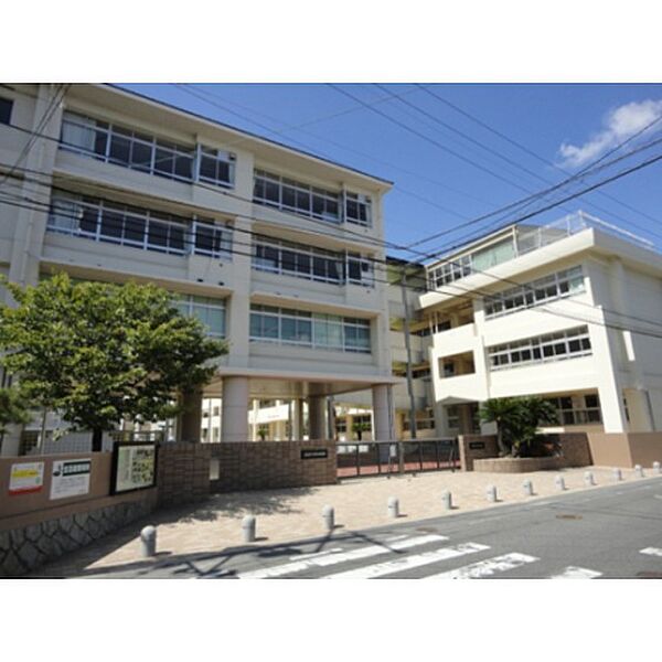 画像23:小学校「広島市立緑井小学校まで791ｍ」