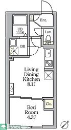 Aglaia 新宿横寺町 1LDKの間取図画像