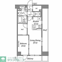JR山手線 池袋駅 徒歩12分の賃貸マンション 5階1LDKの間取り