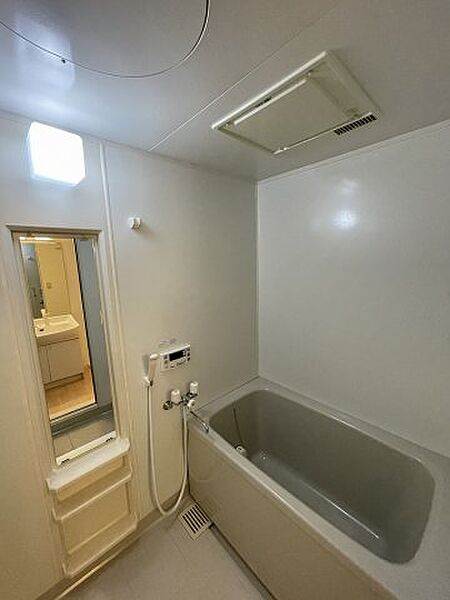 画像9:落ち着いた空間のお風呂です