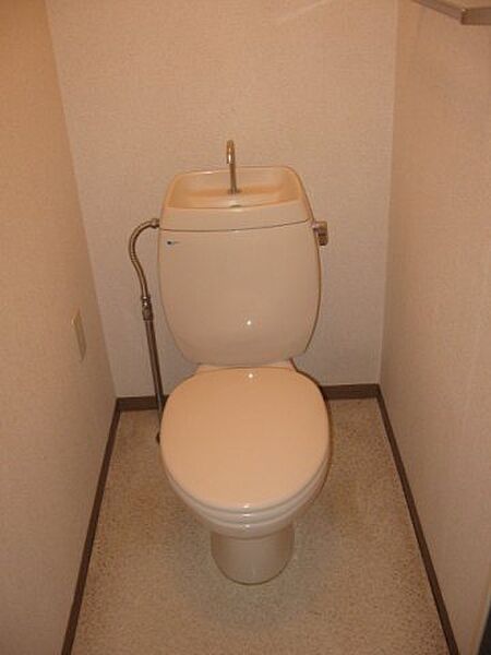 画像23:落ち着いた色調のトイレです