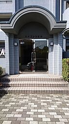 6 / 13