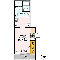 クリプトメリア稲川