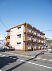 静岡県静岡市駿河区桃園町：物件画像／株式会社ライフデザインクリエイターズ　ルームズ賃貸静岡店