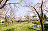 周辺：都立陵南公園（249m）