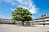 周辺：新磯小学校まで約935ｍ