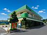 周辺：かえで保育園まで約624ｍ