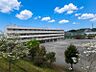 周辺：山崎中学校まで約601～661ｍ