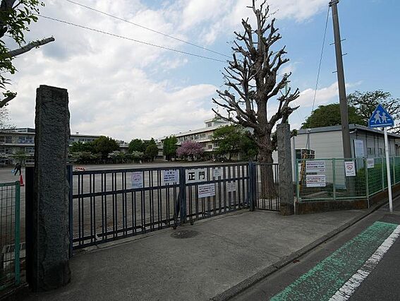 淵野辺小学校ま...
