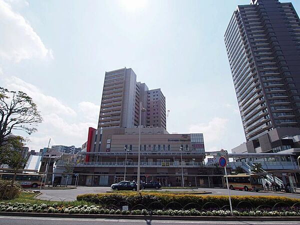 周辺を拡大表示